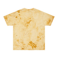 Diversity Unisex Color Blast T-Shirt