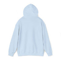 VISIONS Bridges Unisex Heavy Blend™ Hooded Sweatshirt